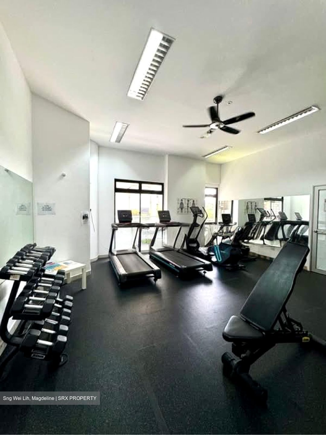 Nouvelle Park (D19), Condominium #537315541